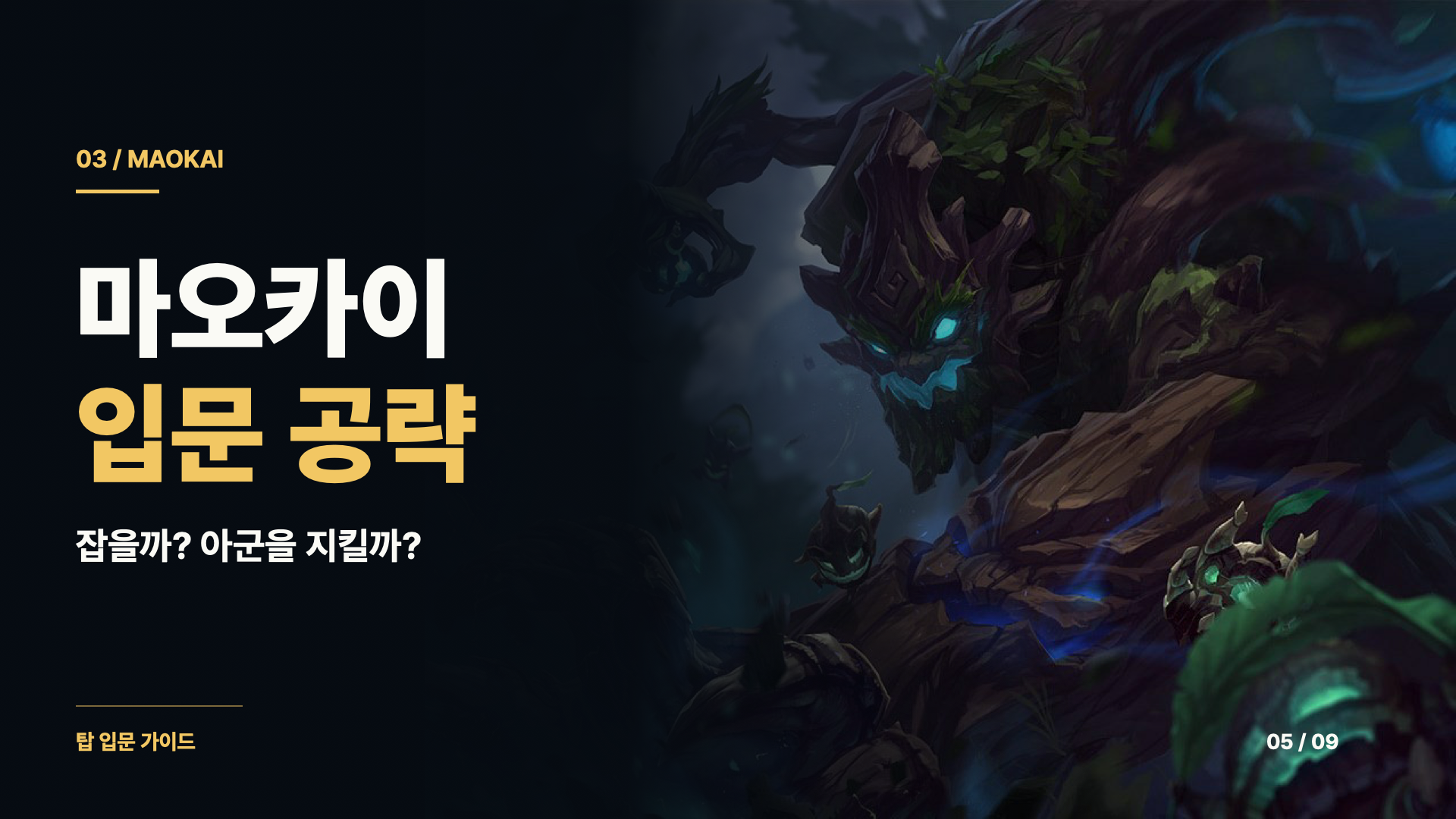 마오카이 입문 공략 — 적을 붙잡는 진입과 아군 보호 판단