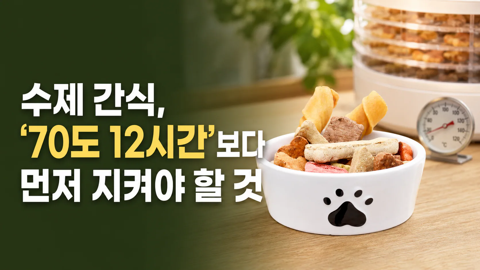 수제 간식, ‘70도 12시간’보다 먼저 지켜야 할 것