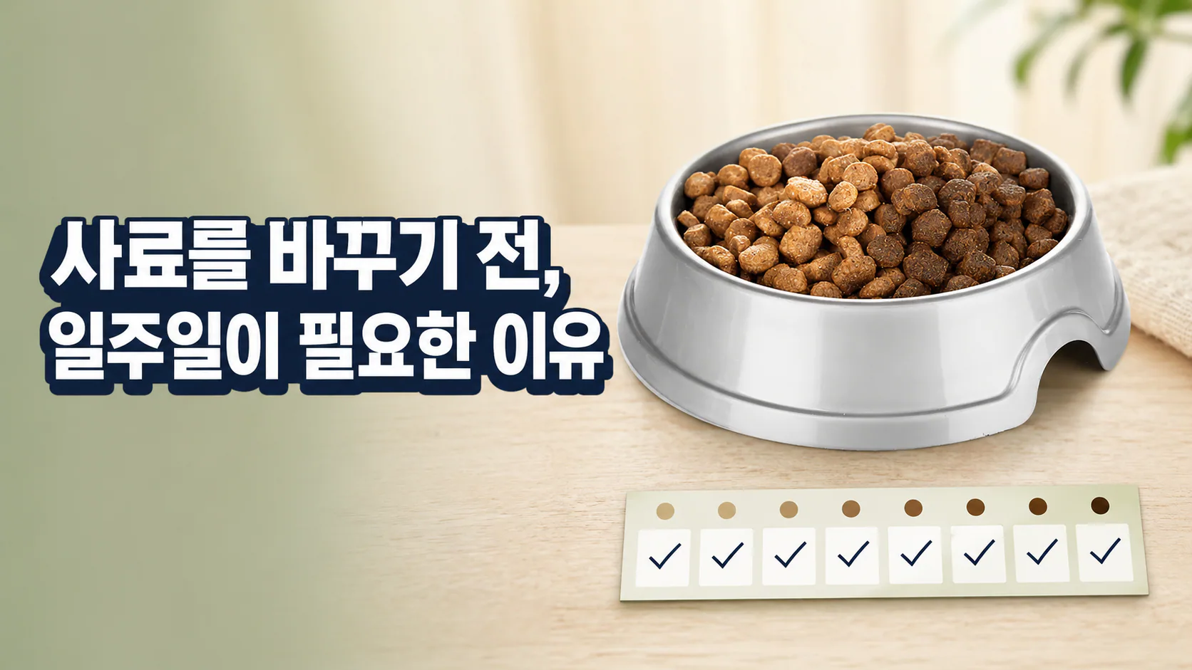 사료를 바꾸기 전 일주일이 필요한 이유