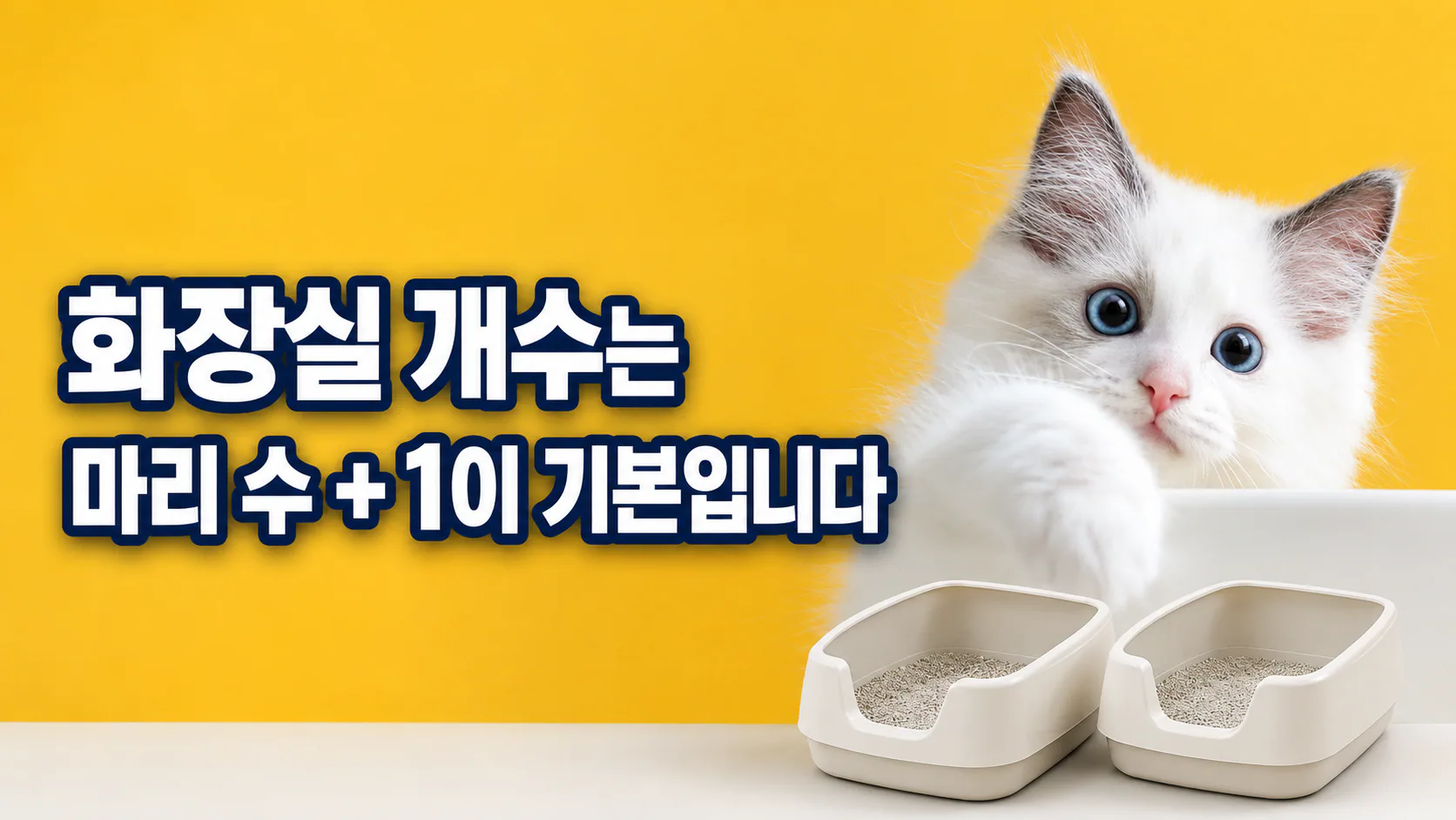 화장실 개수는 마리 수 + 1이 기본입니다
