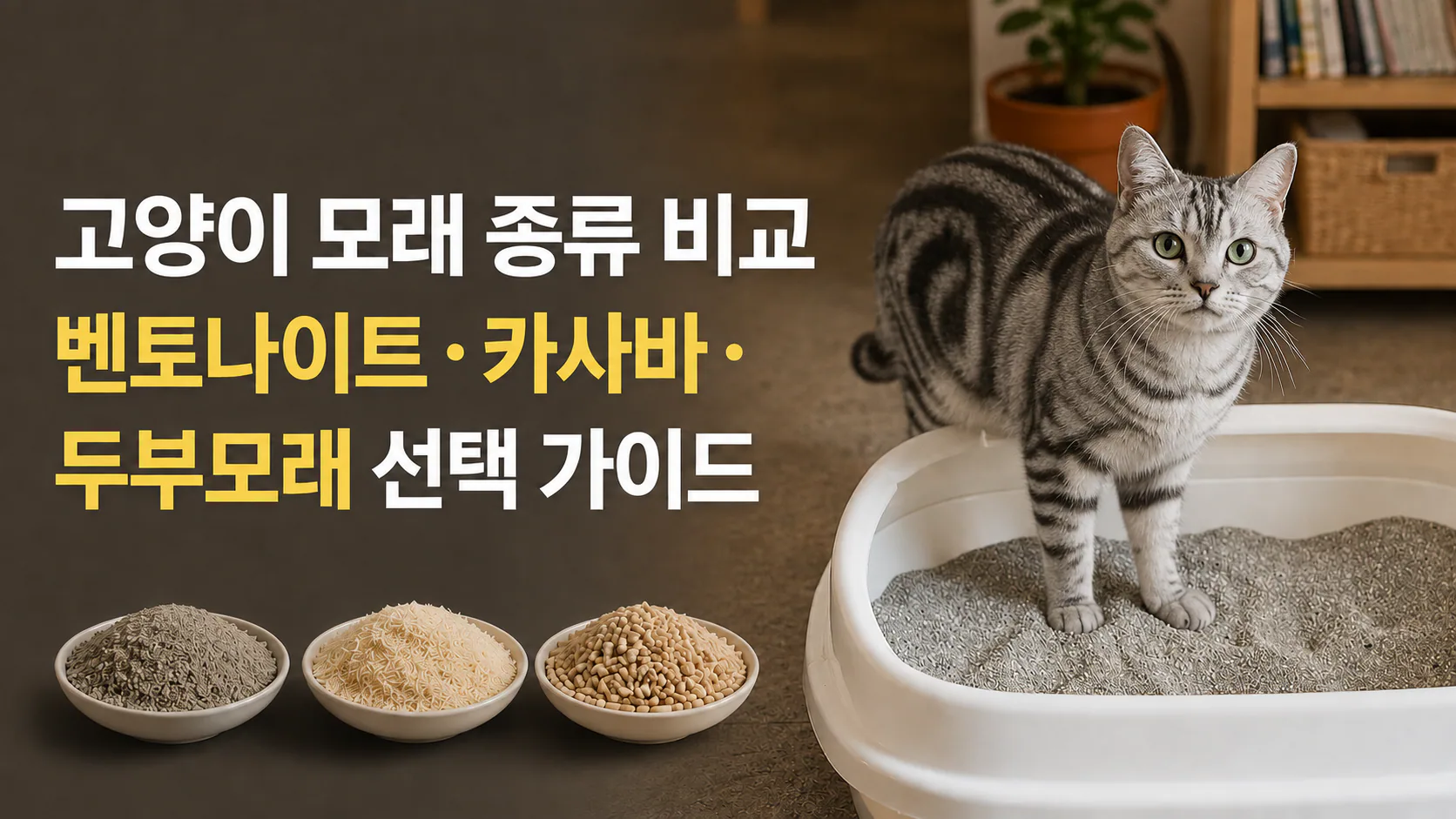 고양이 모래 종류 비교 벤토나이트·카사바·두부모래 선택 가이드