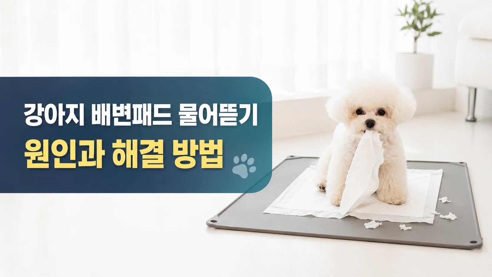 강아지 배변패드 물어뜯기, 원인과 해결 방법