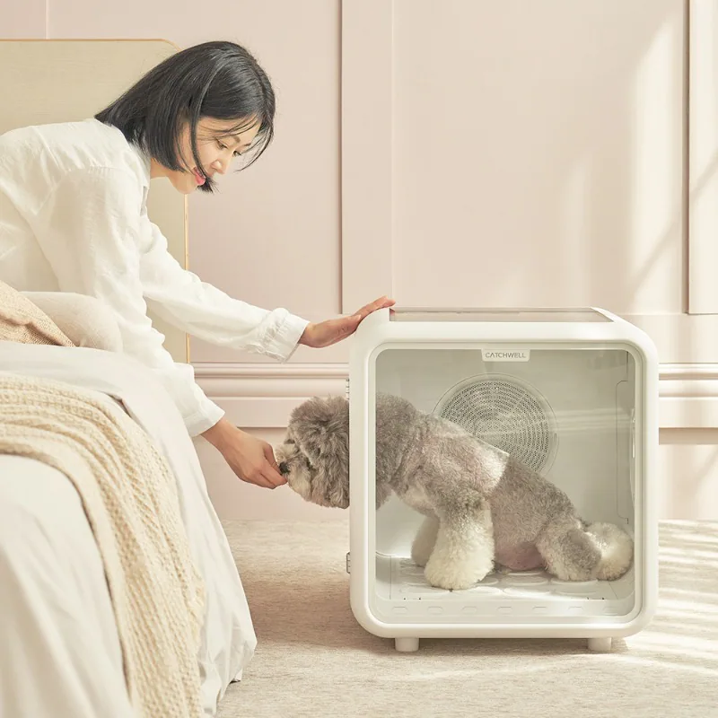 캐치웰 펫 드라이룸