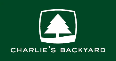 Charlie's Backyard TRIP SEAT BELT BLUE