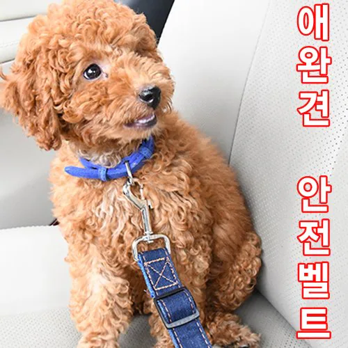 바이오메드 반려동물 자동차 안전벨트