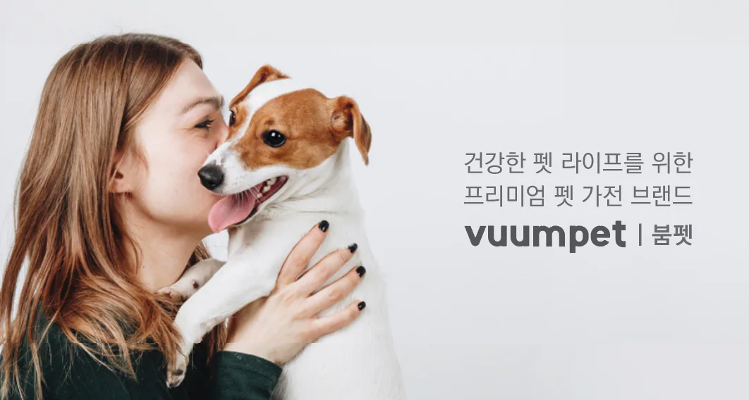 붐펫 드라이룸 단델리온