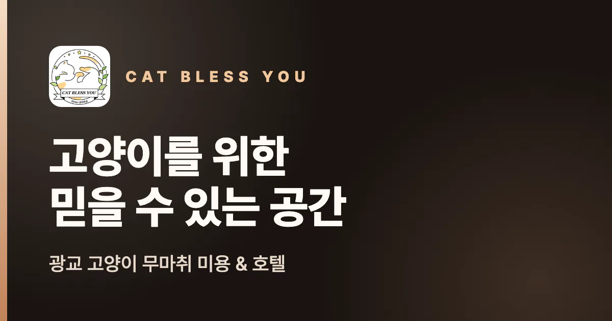 캣블레스유 고양이 전체미용과 목욕