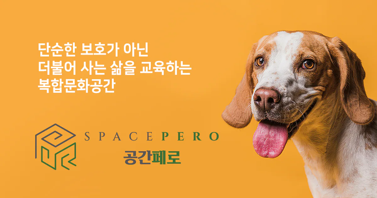 페로 펫호텔