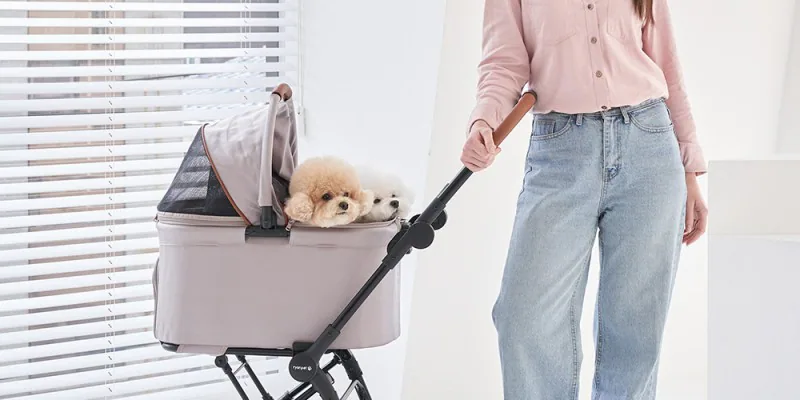 리안펫 스텝 올인원 분리형 유모차에 탑승한 강아지